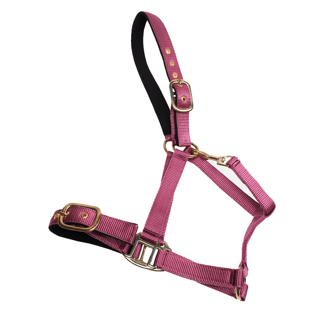 Hovedbilde Horse Comfort nylongrime m/padding rosa